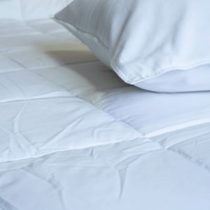 Piumone Matrimoniale d'Oca